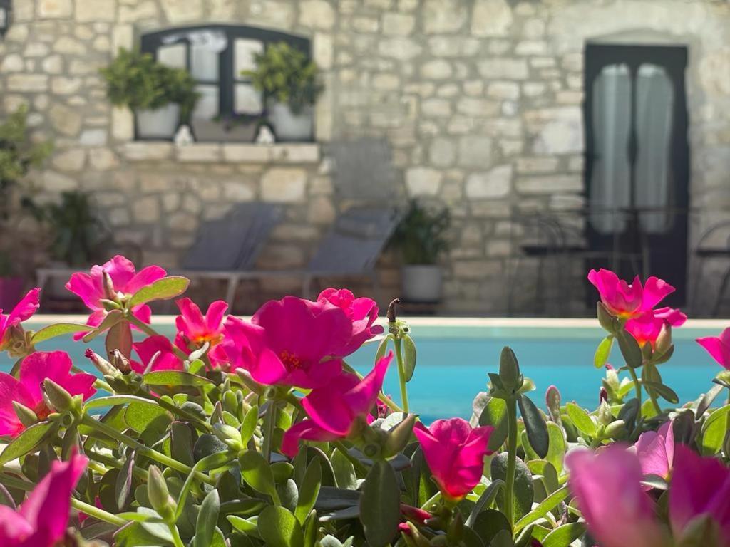 Maison D'Hotes Payan Champier Saint-Paul-Trois-Chateaux Bagian luar foto