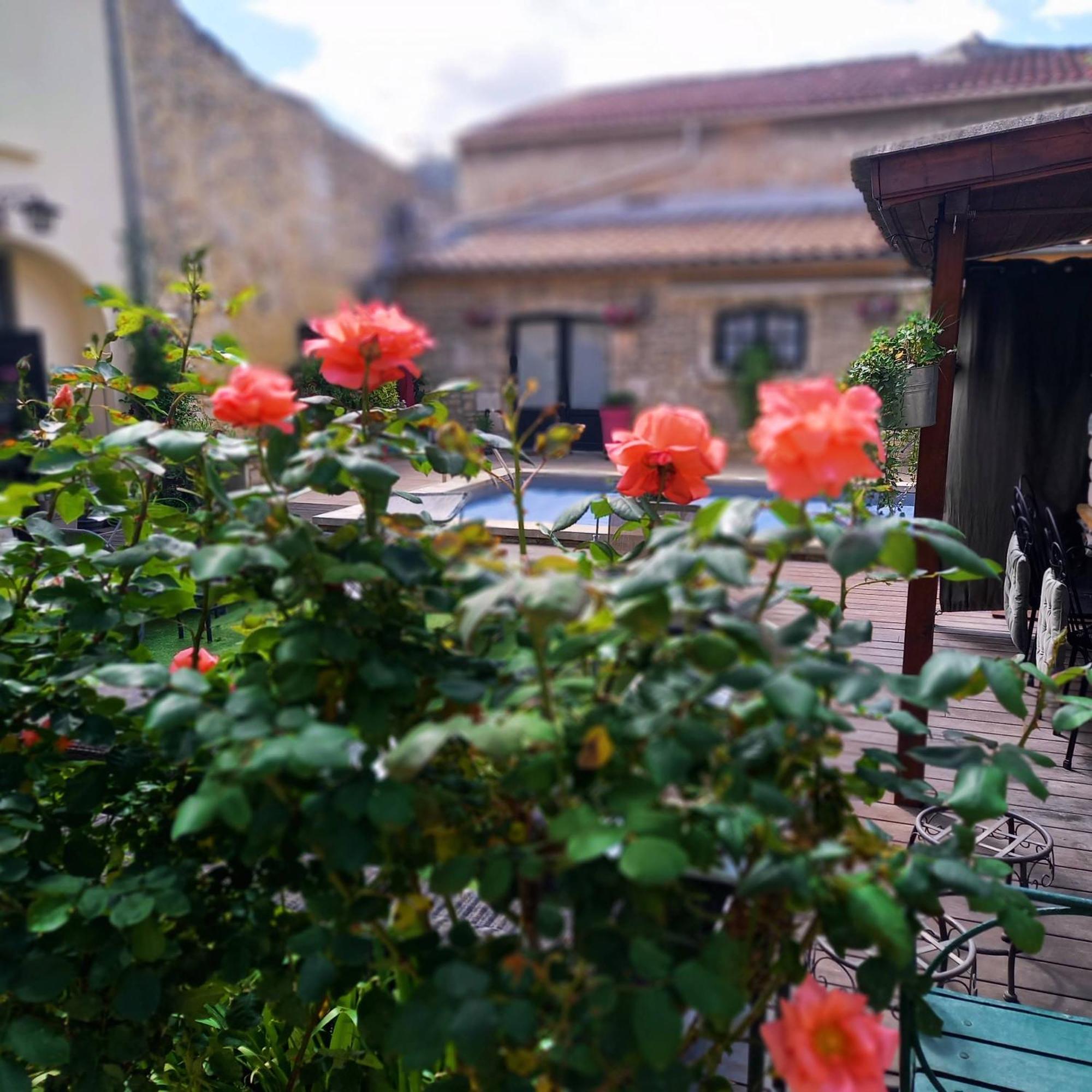 Maison D'Hotes Payan Champier Saint-Paul-Trois-Chateaux Bagian luar foto