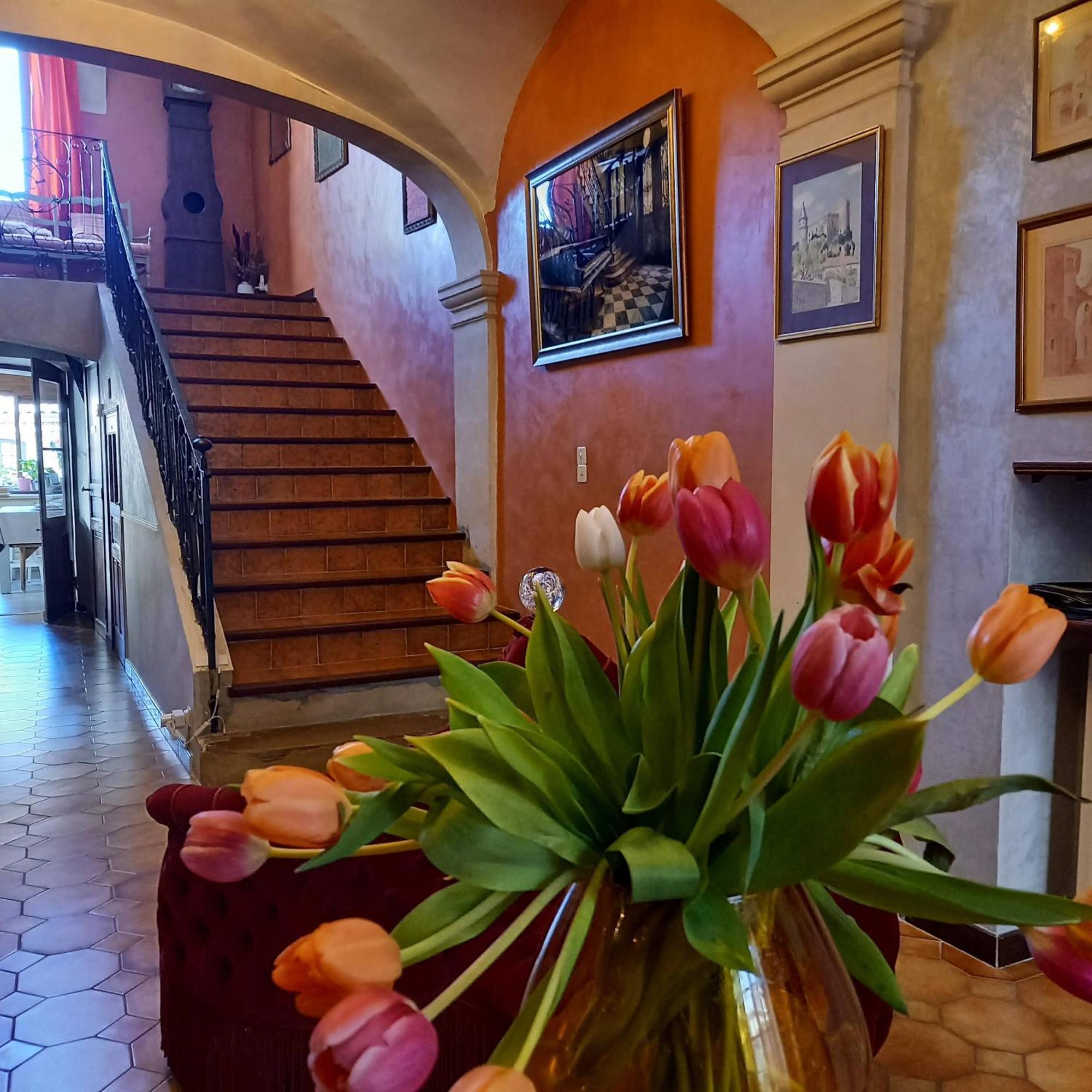 Maison D'Hotes Payan Champier Saint-Paul-Trois-Chateaux Bagian luar foto